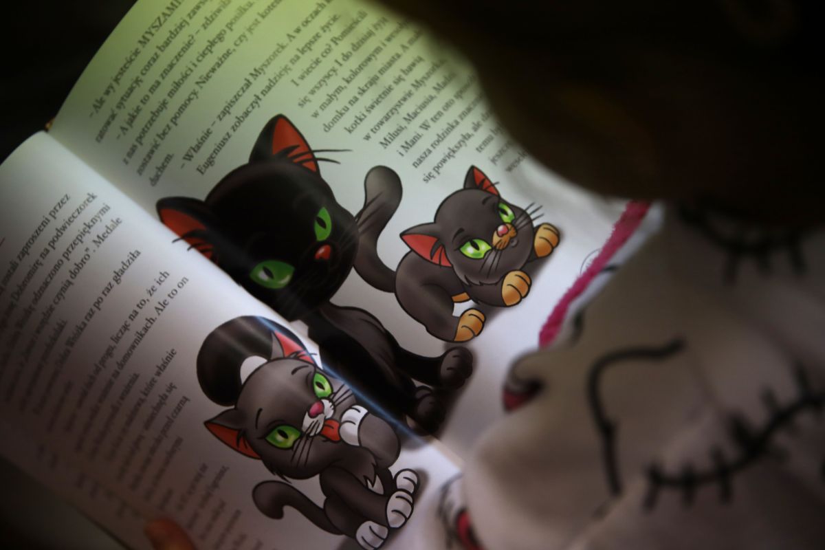 GALERIA - 2025-12-01T075615.813