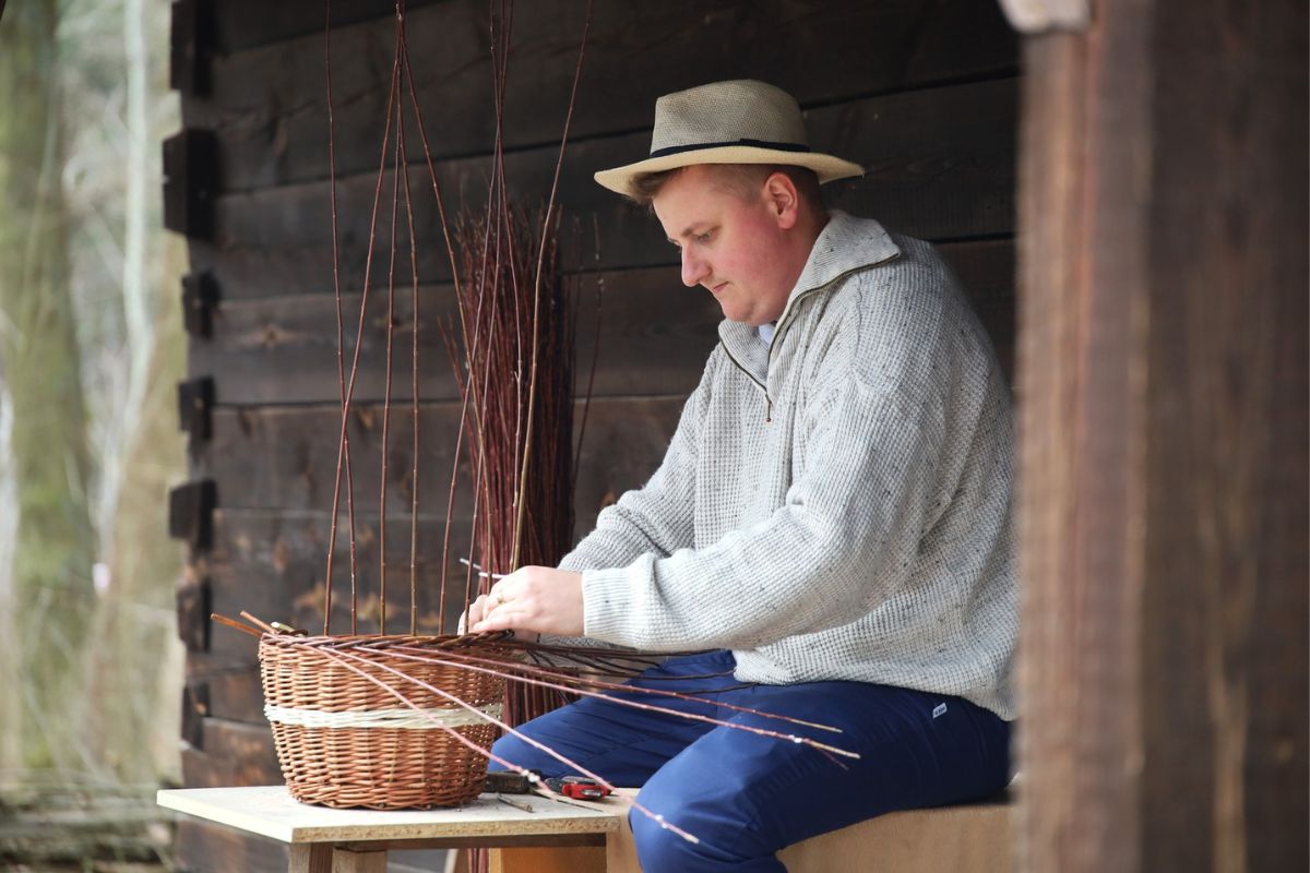 GALERIA - 2026-03-30T124822.815